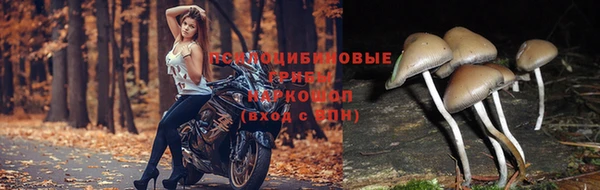 мдма Кинешма