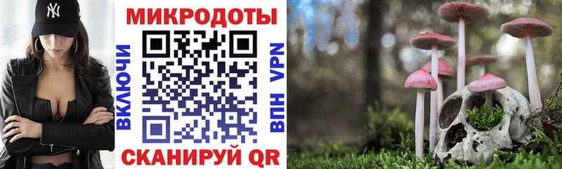 Галлюциногенные грибы GOLDEN TEACHER  Купить  Новосиль 